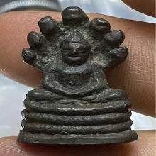 รูปหล่อนาคปรกแสงอรุณ วัดบรมนิวาส 2495