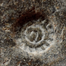 หลวงปู่โต๊ะ ล็อกเก็ต รุ่นแรก หนังสือโค้ง รูปหัวใจ