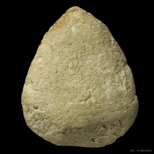 พระกลีบบัว พระครูใบฎีกาเกลี้ยง วัดสุทัศน์