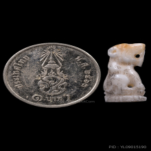 เสือหลวงพ่อคงวัดวังสรรพรสแกะจากเขี้ยวเสือไฟ แชมป์ๆ จี๊ดๆ