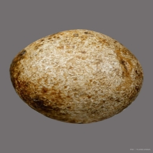 ลูกอมหลวงพ่อปาน