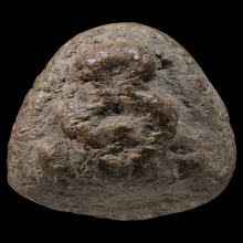 พระปิดตาหลวงพ่อทับ วัดอนงค์ เนื้อผง