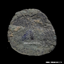 พระพิจิตรเม็ดข้าวเม่า พิมพ์แขนกลม สภาพสวยแชมป์