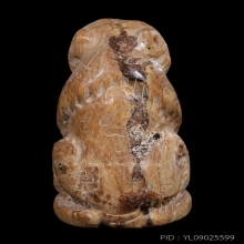 เสือ หลวงพ่อคง วัดวังสรรพรส