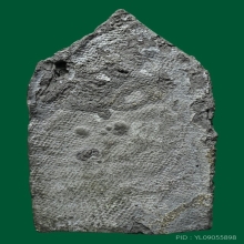 พระยอดขุนพลซุ้มเรือนแก้ว เนื้อชินเงิน กรุวัดราชบูรณะ 