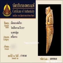 เขี้ยวแกะหัวเสือยุคต้น หลวงพ่อไสว วัดปรีดาราม