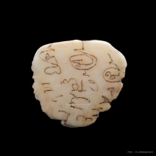 “เสือสาริกา“หลวงพ่อคง วังสรรพรส