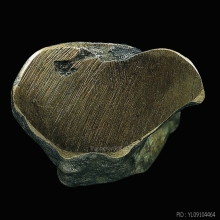 พระปิดตาอาจารย์ชัย วัดควนปริง จ.พัทลุง พ.ศ.2485