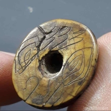 เสือหลวงพ่อปาน วัดมงคลโคธาวาส จ.สมุทรปราการ