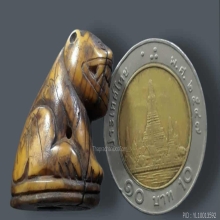 เสือหลวงพ่อปาน วัดมงคลโคธาวาส จ.สมุทรปราการ