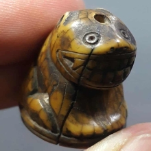 เสือหลวงพ่อปาน วัดมงคลโคธาวาส จ.สมุทรปราการ