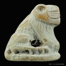 เสือหลวงพ่อสาย วัดบางเหี้ย สมุทรปราการ