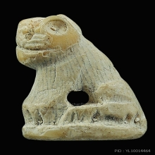 เสือหลวงพ่อสาย วัดบางเหี้ย สมุทรปราการ