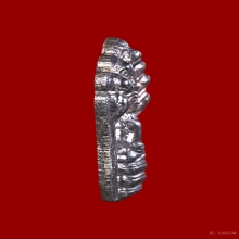 พระนาคปรกใบมะขาม รุ่นแรก หลวงปู่ดู่ ปี 2531 เนื้อเงิน