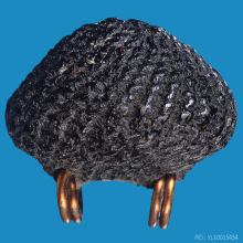 >>>..,เบี้ยแก้ อ.เจือ วัดกลางบางแก้ว แบ่งปัน