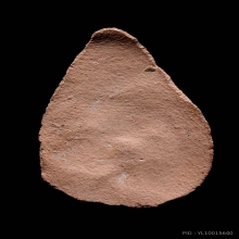 พระกลีบบัว วัดลิงขบ เนื้อดิน ปี2410