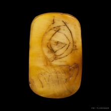 เสือหลวงพ่อปาน วัดบางเหี้ย (ศิลป์วัดกลาง)