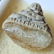 พระสังกัจจายน์ หลวงปู่โต๊ะ วัดประดู่ฉิมพลี