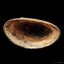 พระพุทธรูปสมัยเชียงแสน ไชยปราการ