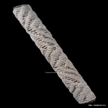 ตะกรุดมหาจักรพรรดิ์หลวงปู่ดู่ วัดสะแก จ.พระนครศรีอยุธยา