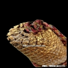 ตะกรุดหนังเสือหลวงพ่อตาบ วัดมะขามเรียง จ.สระบุรี