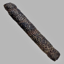 ตะกรุดหนังปลากระเบน 