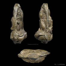 พระปิดตายันต์นอน อาจารย์ดิษฐ์ วัดปากสระ 