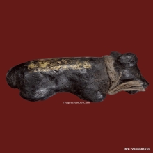 วัวธนู ครูบาคำแสน รุ่น 1 วัวธนูยอดนิยมอันดับ1ล้านนา