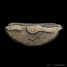 พระปิดตามือไขว้ หลวงพ่อดิษฐ์ วัดปากสระ 