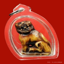 เสือหลวงพ่อสาย กระดูกเสือแกะ วัดคลองด่าน ปี 2519