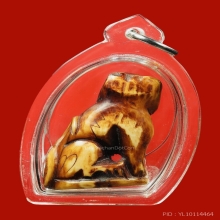 เสือหลวงพ่อสาย กระดูกเสือแกะ วัดคลองด่าน ปี 2519