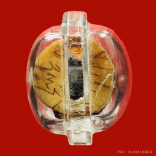 เสือหลวงพ่อสาย กระดูกเสือแกะ วัดคลองด่าน ปี 2519