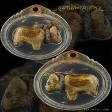 วัวธนู สายใต้ อาจารย์ชุมไชยคีรี สำนัก เขาอ้อ