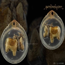 วัวธนู สายใต้ อาจารย์ชุมไชยคีรี สำนัก เขาอ้อ