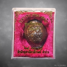 เบี้ยแก้หลวงพ่อเกษม เขมโก ปี2538 พร้อมกล่อง