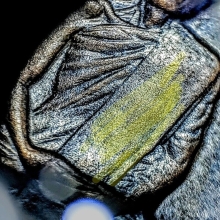 เหรียญรุ่นแรกหลวงปู่โต๊ะ พิเศษมีจาร วัดประดู่ฉิมพลี 