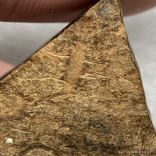 กะลาตาเดียวแกะ หลังจารอักขระ