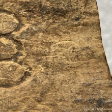 กะลาตาเดียวแกะ หลังจารอักขระ