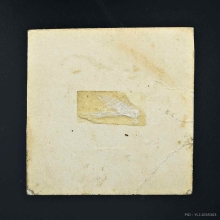 หลวงปู่ขาว อนาลโย