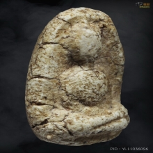 พระสมเด็จวัดพลับ พิมพ์พุงป่องเล็ก