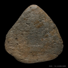 นางกำแพงกลีบบัว 