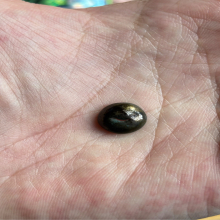 เม็ดกระดุมเมฆสิทธิ์หลวงพ่อทับวัดอนงค์