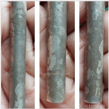 มหารูดเนื้อเงิน อ.เที่ยง น่วมมานา