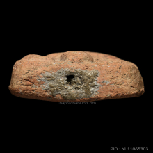 พระหลวงพ่อปาน วัดบางนมโค ปลาหมอ