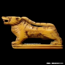 เสือหลวงปู่ยิ้ม วัดหนองบัว จ.กาญจนบุรี