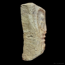 พระสมเด็จบางขุนพรหมพิมพ์ใหญ่