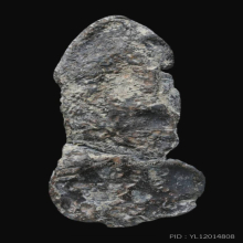 พระนาคปรก เนื้อตะกั่วสนิมแดง กรุป่าไม้แดง จ.สิงห์บุรี