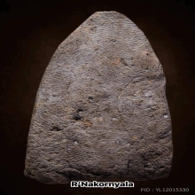 หลวงปู่ทวดวัดเมืองยะลา ปี2505