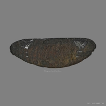 หลวงปู่ ทิม วัดละหารไร่