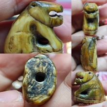 เสือหลวงพ่อปาน วัดมงคลโคธาวาส (วัดบางเหี้ย) คิลป์นิยม อ้าปาก